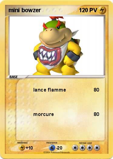 Pokemon mini bowzer