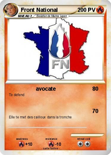 Pokemon Front National