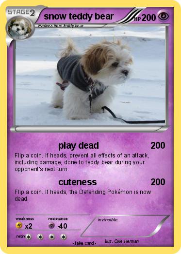 Pokemon snow teddy bear
