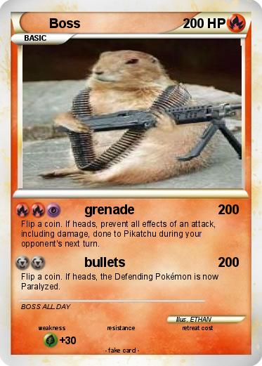 Pokemon Boss