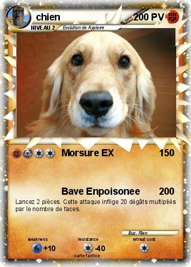 Pokemon chien