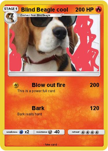 Pokemon Blind Beagle cool