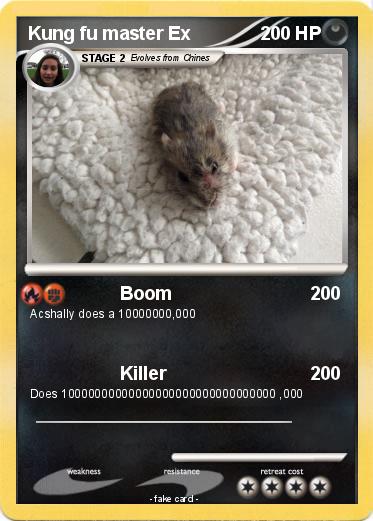 Pokemon Kung fu master Ex