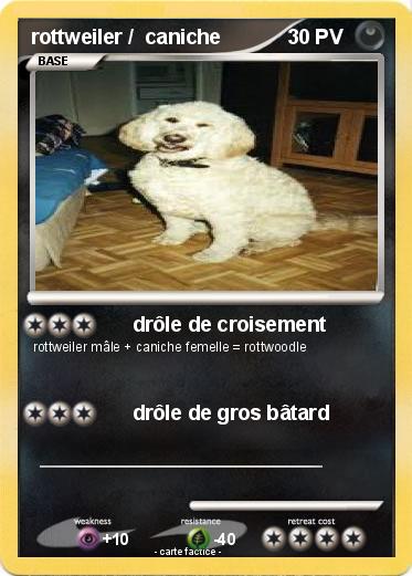 Pokemon rottweiler /  caniche