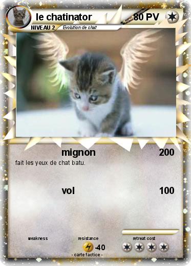 Pokemon le chatinator
