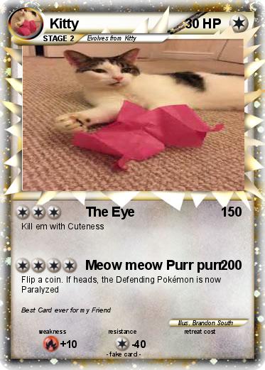 Pokemon Kitty