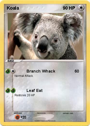 Pokemon Koala