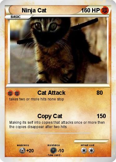 Pokemon Ninja Cat