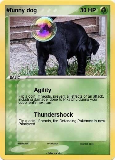 Pokemon #funny dog