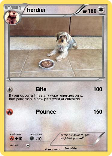 Pokemon herdier