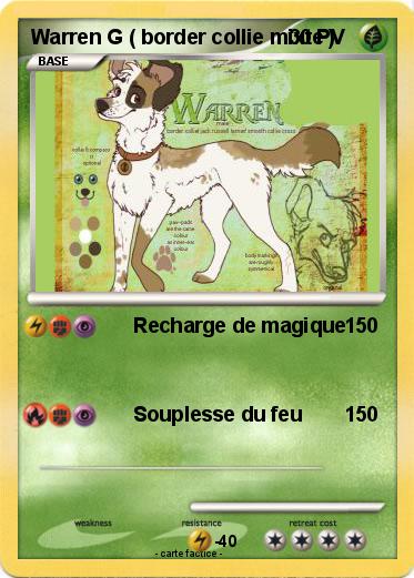 Pokemon Warren G ( border collie mixte )