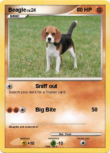 Pokemon Beagle