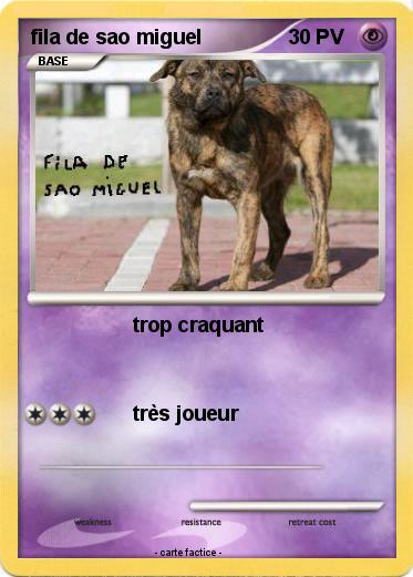 Pokemon fila de sao miguel