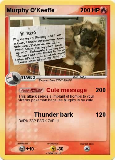 Pokemon Murphy O'Keeffe