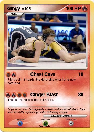 Pokemon Gingy