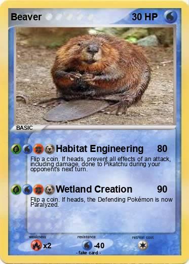 Pokemon Beaver