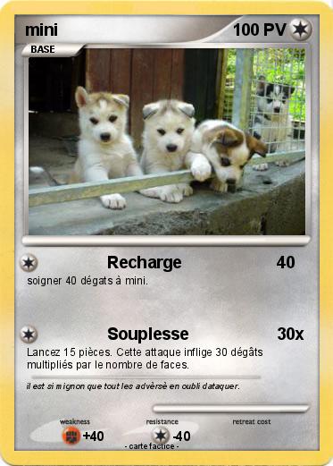 Pokemon mini