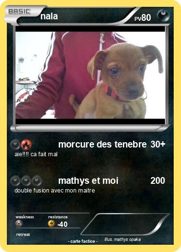 Pokemon nala