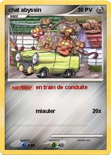 Pokemon chat abyssin