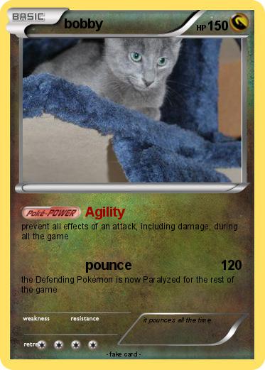 Pokemon bobby