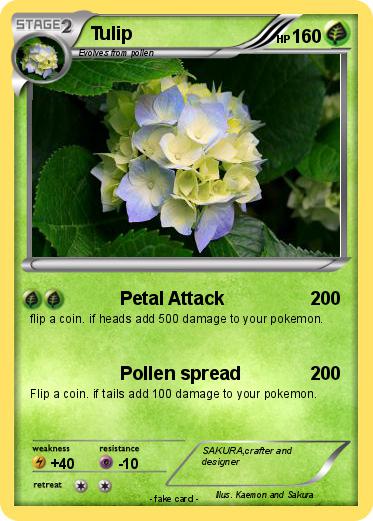 Pokemon Tulip