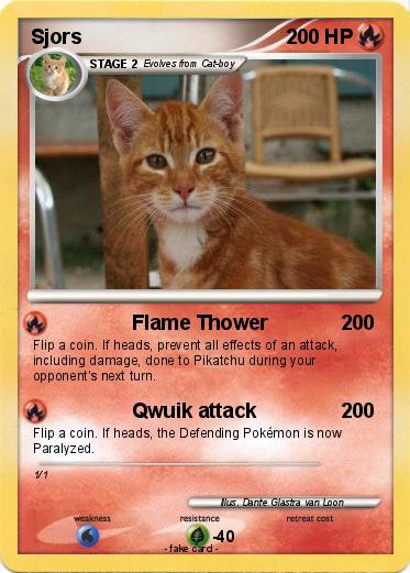 Pokemon Sjors