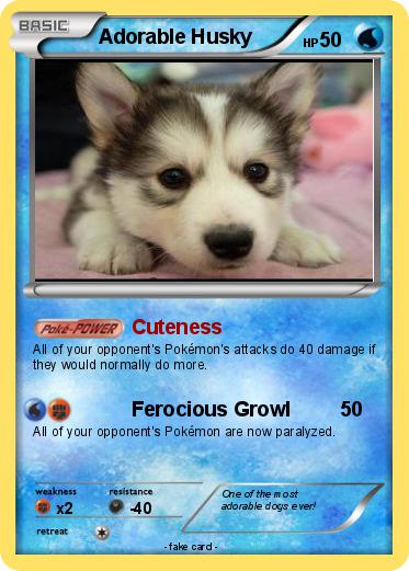Pokemon Adorable Husky