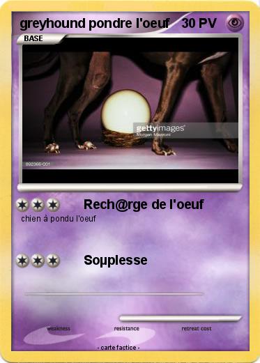 Pokemon greyhound pondre l'oeuf