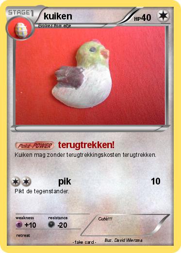 Pokemon kuiken