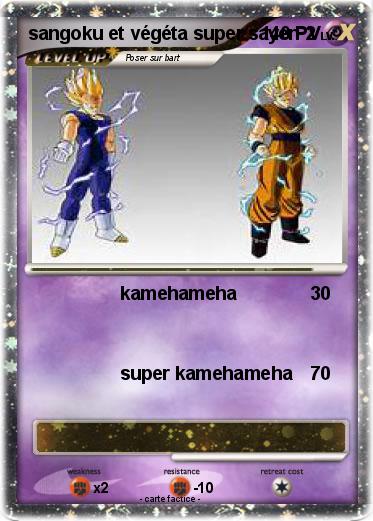 Pokemon sangoku et végéta super sayen 2