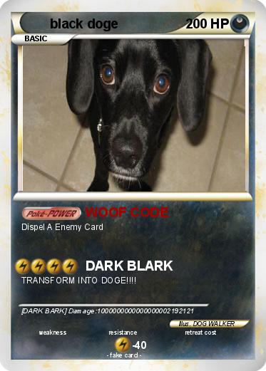 Pokemon black doge