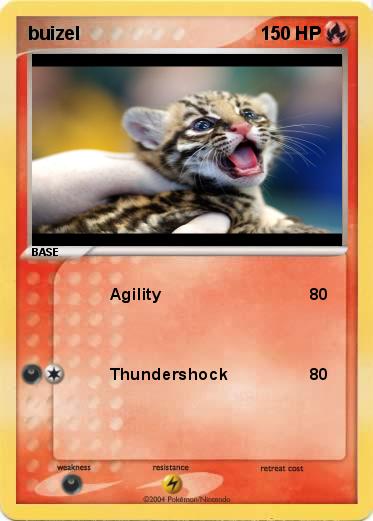Pokemon buizel
