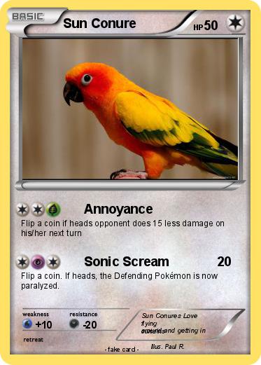 Pokemon Sun Conure