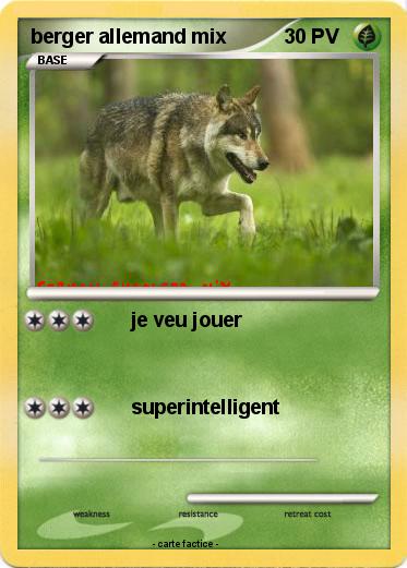 Pokemon berger allemand mix