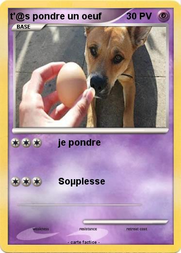 Pokemon t'@s pondre un oeuf