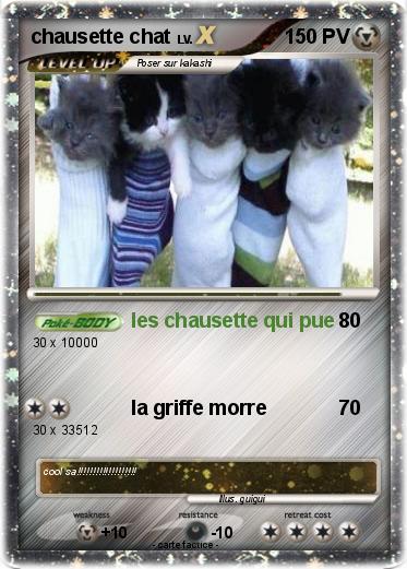 Pokemon chausette chat