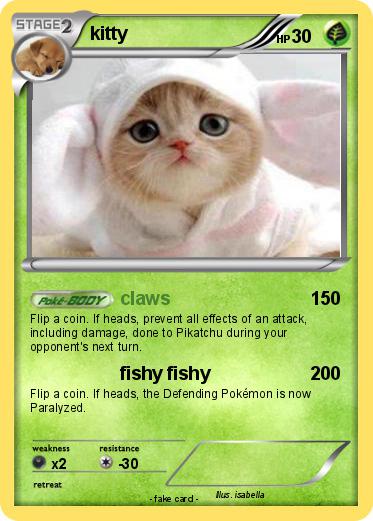 Pokemon kitty