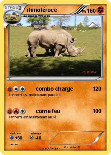 Pokemon rhinoféroce