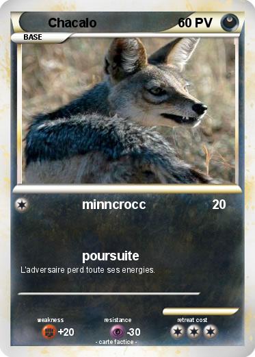 Pokemon Chacalo