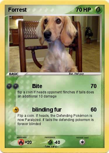 Pokemon Forrest