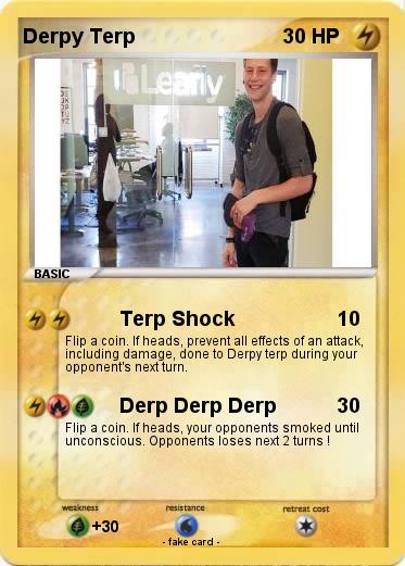 Pokemon Derpy Terp