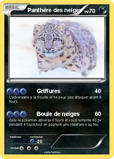 Pokemon Panthère des neiges