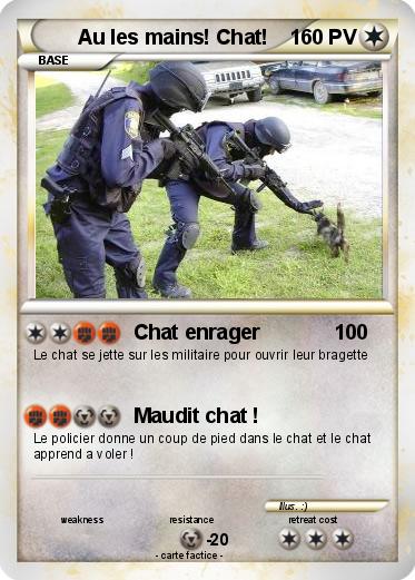 Pokemon Au les mains! Chat!
