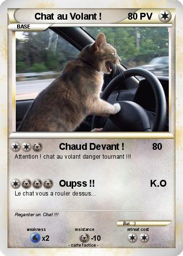 Pokemon Chat au Volant !