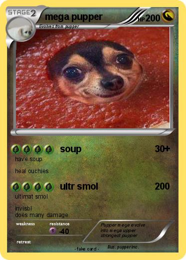 Pokemon mega pupper