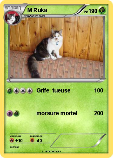 Pokemon M Ruka