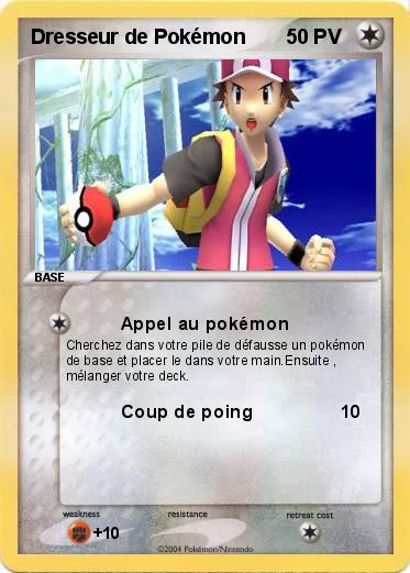 Pokemon Dresseur de Pokémon