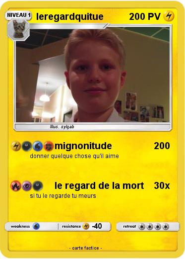 Pokemon leregardquitue