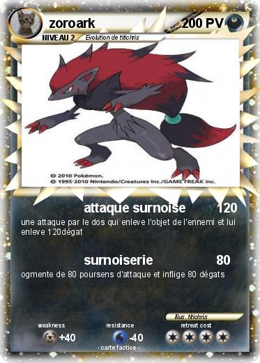 Pokemon zoroark