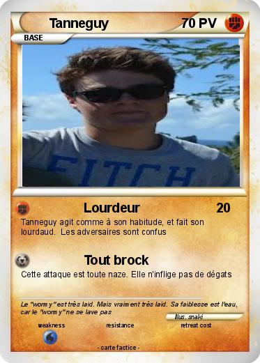 Pokemon Tanneguy